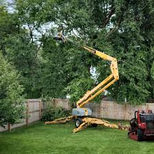 Best Emergency Tree Removal  in Oral City, FL